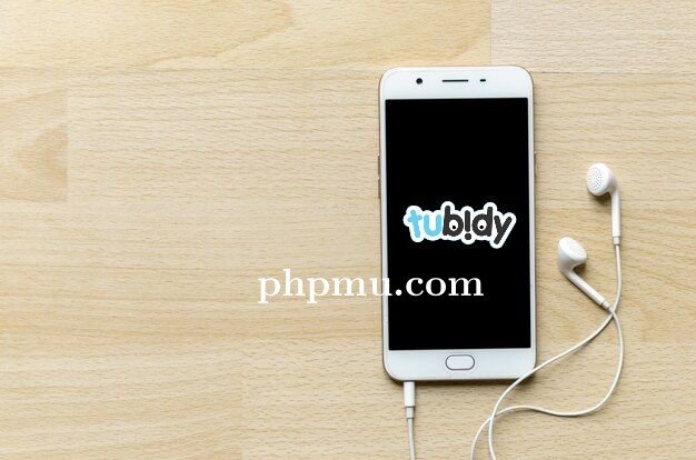 Alasan Tubidy Tetap Populer di Kalangan Pecinta Musik Digital